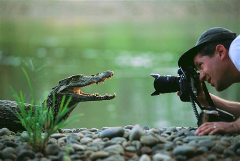 Snap the Snout | Nat Geo Photo of the Day