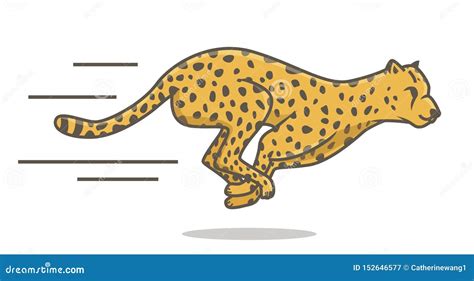 Cheetah During The Chase, Africa Cartoon Vector | CartoonDealer.com ...