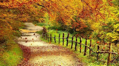 Autumn Scenery Wallpaper (57+ images)