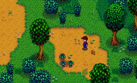 Stardew Valley | Forester or Gatherer? Foraging Skill Guide