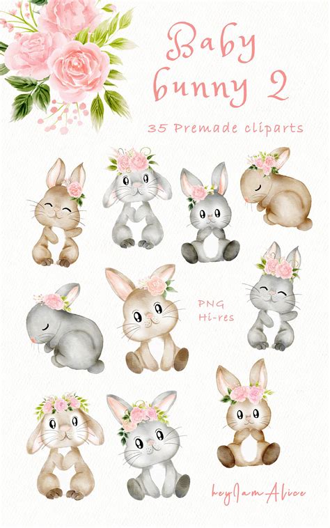 Rabbit Clipart, Rabbit Png, Bunny Watercolor, Watercolor Elephant ...