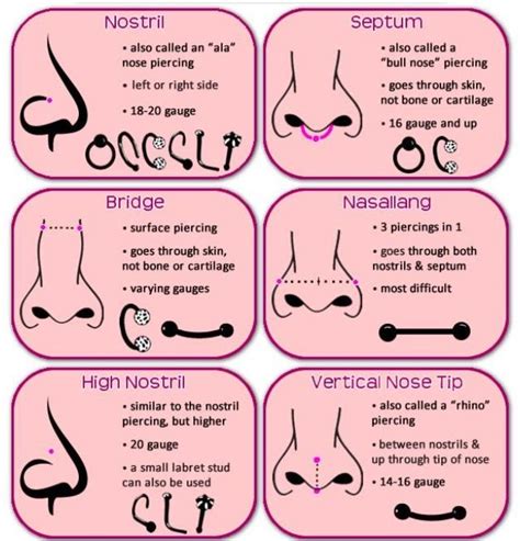 Pin by carolyn Connolly on Life changing books | Piercing chart, Nose ...