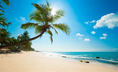 The Best Beaches in Sri Lanka | Trailfinders