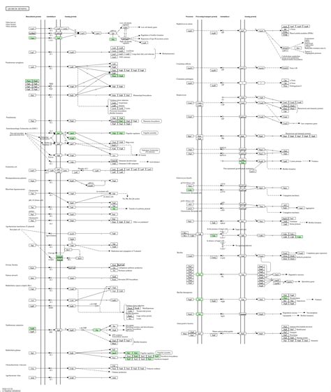 KEGG PATHWAY: Quorum sensing - Cupriavidus necator H16