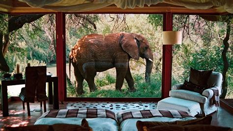 Top 10: most luxurious safari lodges in South Africa - the Luxury ...