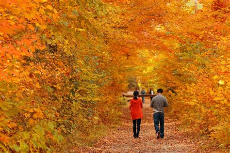 Vermont in the Fall - 10 Amazing Places to Admire colors!