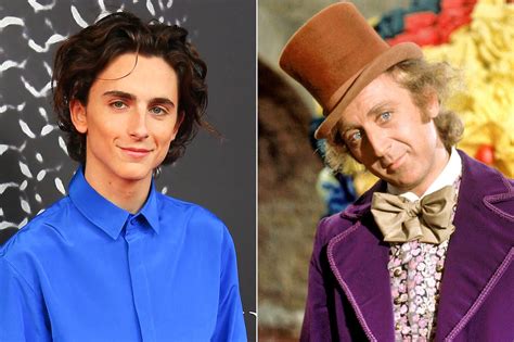 Timothée Chalamet to play young Willy Wonka in upcoming prequel film ...