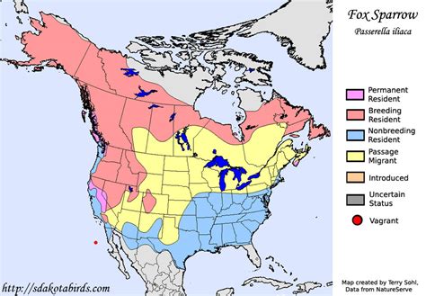 Fox Sparrow - Species Range Map