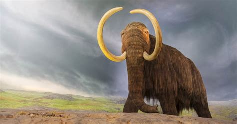 Paleontologists have dug up a 130,000-year-old mastodon skeleton that ...