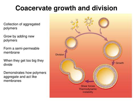 PPT - Origins of Life-2 PowerPoint Presentation, free download - ID:478413