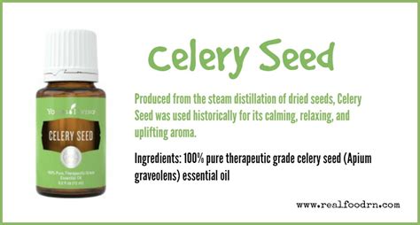 Celery Seed Essential Oil - Real Food RN