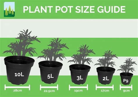 Plant Pot Sizes Chart - Plant Ideas