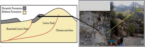 The virtual model illustrates the branch of the listric fault affecting ...