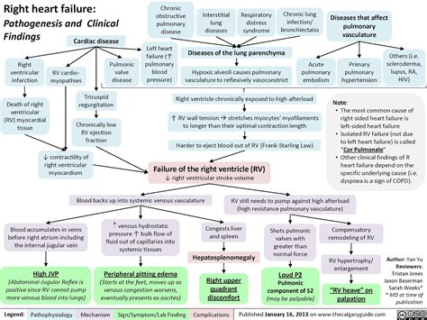 Right sided heart failure pathophysiology