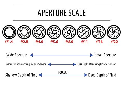 Understanding Aperture in 5 Easy Steps