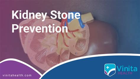 100% Best Kidney Stone Prevention | Vinita Hospital