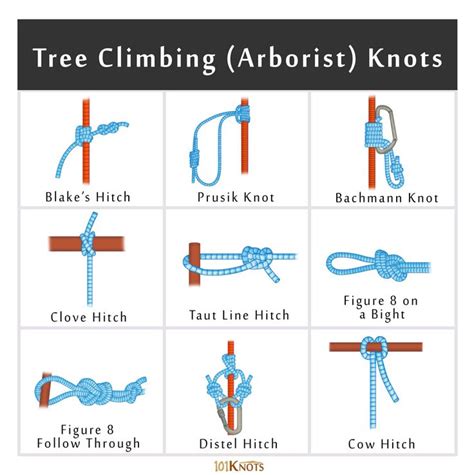 Rock and Tree Climbing Knots: Basic Guide with List | Nudos de cuerda ...