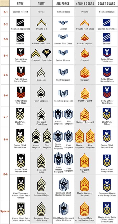 Discover the United States Military Rank Structure and Insignia