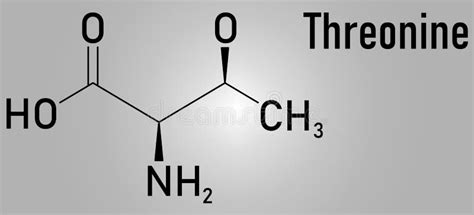 Threonine or L-threonine, Thr, T, Amino Acid Molecule. Skeletal Formula ...