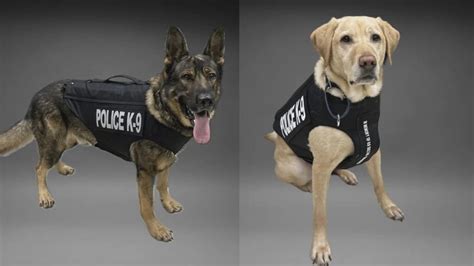 Pair of Wilmington Police K9s receive protective vests