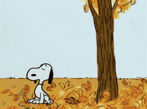 Its The Great Pumpkin Charlie Brown Autumn GIF - Find & Share on GIPHY