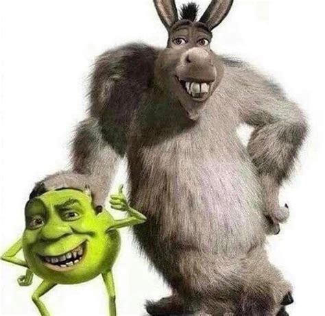 Shrek and Donkey + Mike Wazowski and James P. Sullivan = | Fandom