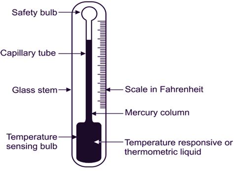 Diagram Of A Thermometer