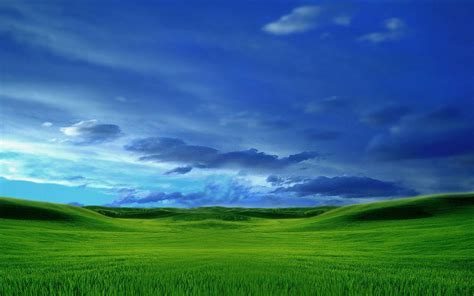 Green Grass and Blue Sky Wallpapers - Top Free Green Grass and Blue Sky ...