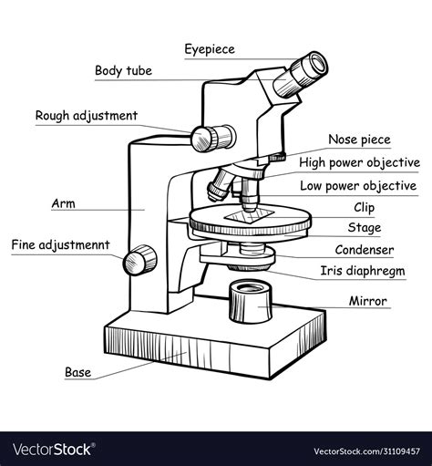 Modern electronic powerful lab microscope parts Vector Image