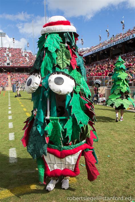 The Stanford Tree