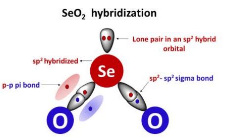 SeO2 Lewis structure, molecular geometry, bond angle, hybridization