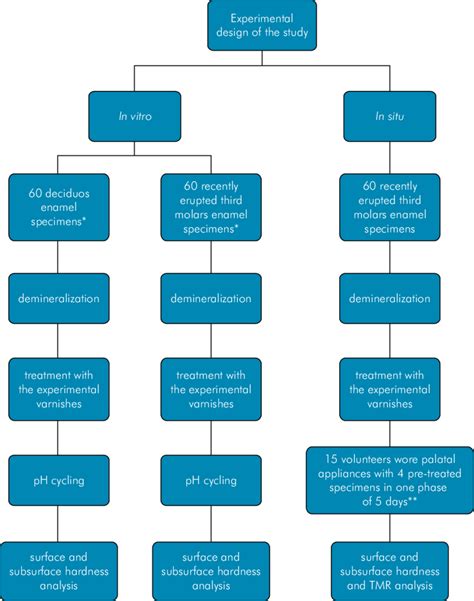 Experimental design of the study. | Download Scientific Diagram