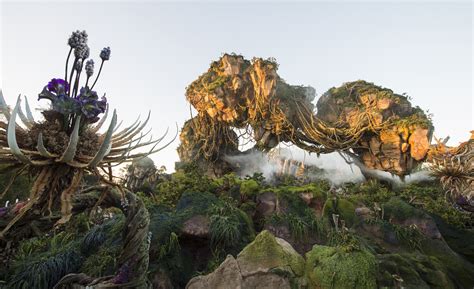 Disney Animal Kingdom to Offer Nightly Extra Magic Hours for Pandora ...