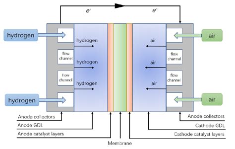 Operating principle of PEMFC During the operation of PEMFC, hydrogen ...