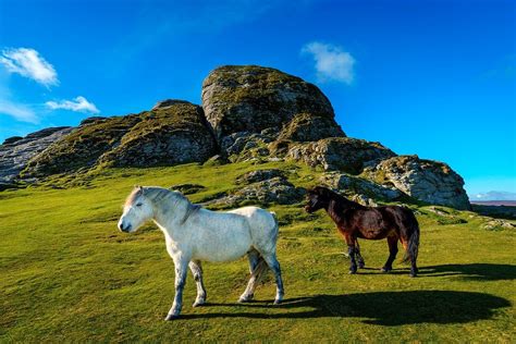 Road Tripping Dartmoor National Park