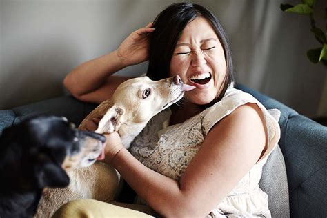 Why do dogs lick you? | New Scientist