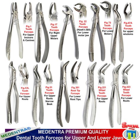 Dental Forceps Types