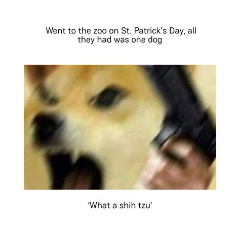 Free St Patrick's Day Dog Meme Template - Edit Online & Download ...