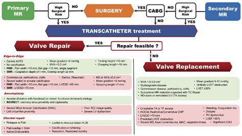 Patient selection for trans-catheter mitral valve repair vs ...