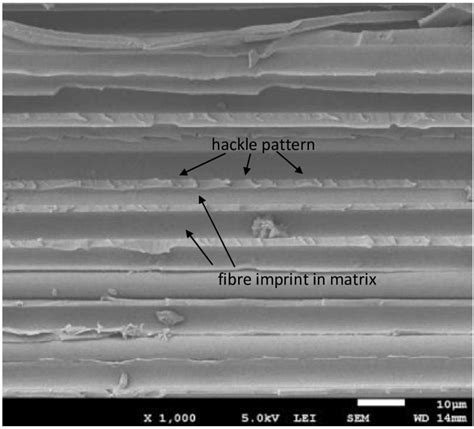 Illustration of a delamination fracture surface revealing the typical ...