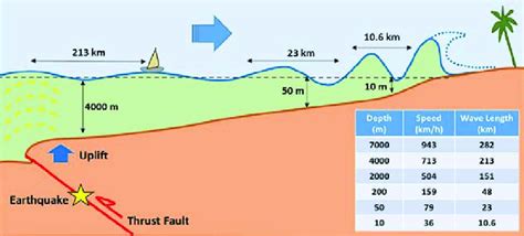 Tsunami wave propagation from deep to shallow waters. As it enters the ...