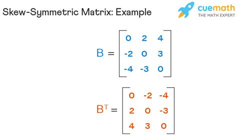 Skew Symmetric Matrix - Definition, Properties, Theorems, Examples