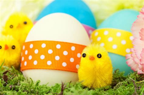 Chicks Easter Wallpapers - Wallpaper Cave