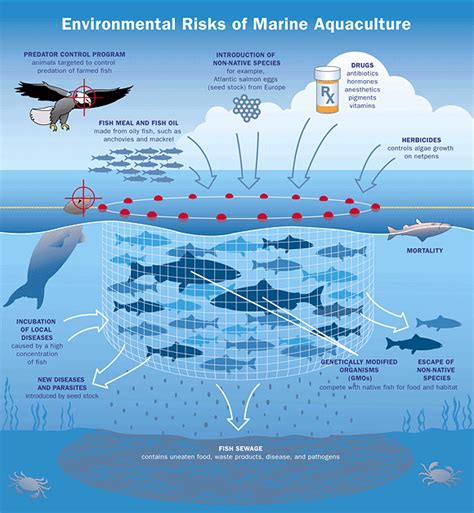 Aquaculture: The Environmental Impact | Acuicultura, Acuaponía ...