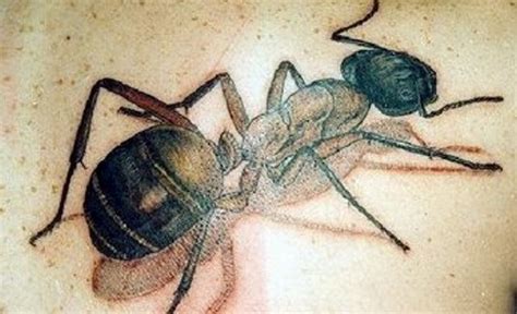 Ant Tattoo – Meaning, Symbolism, Designs and Ideas