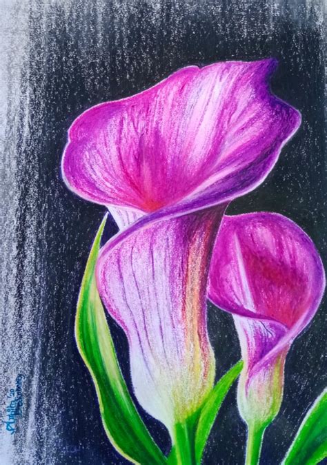 Purple flowers | Oil pastel drawings easy, Oil pastel art, Pastel art