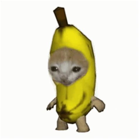 Banana Cat GIF – Banana Cat – Ищите GIF-файлы и обменивайтесь ими | 고양이 ...