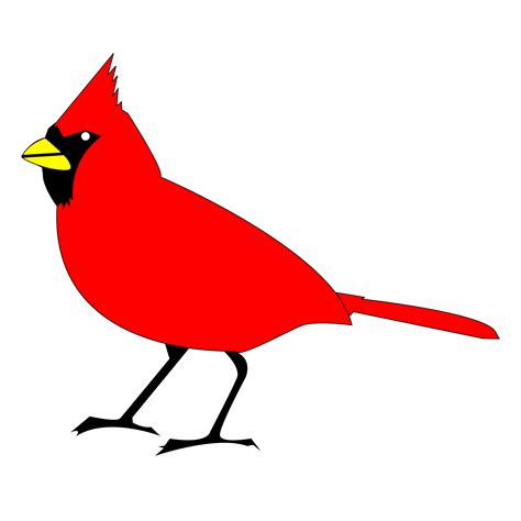 Cardinal remix 2 | Cardinal birds, Bird, Bird applique