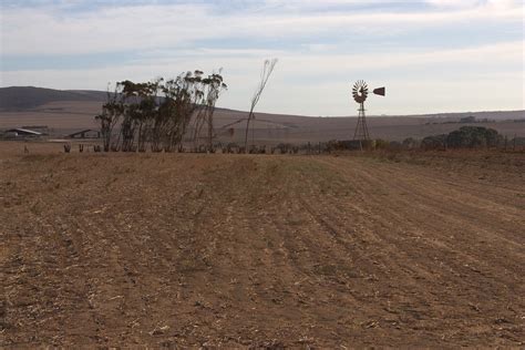 Arid Landscape Trees Windmill - Free photo on Pixabay