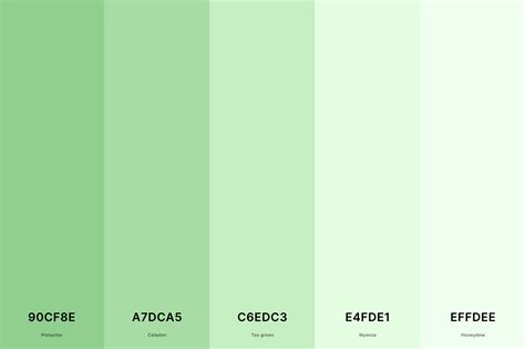 35+ Best Green Color Palettes with Names and Hex Codes – CreativeBooster